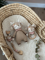 Amigurumi Ceylan Model Bebek Seti – 3 Parça