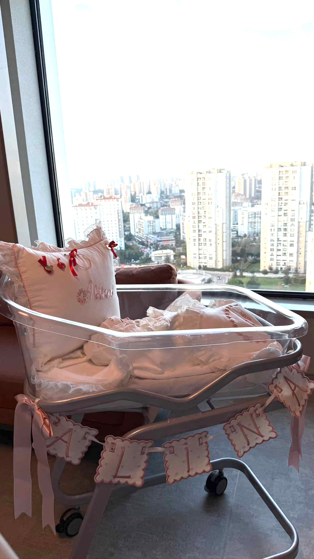 Personalized Machine Embroidered Baby Banner | Pennant | Door Decoration