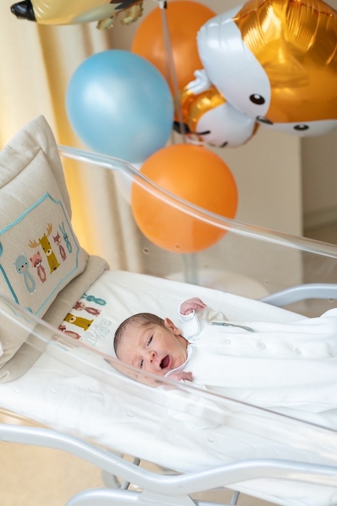 Orman Masalı Hastane Çıkışı Seti