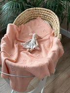 El Örgüsü Somon Bebek Battaniyesi